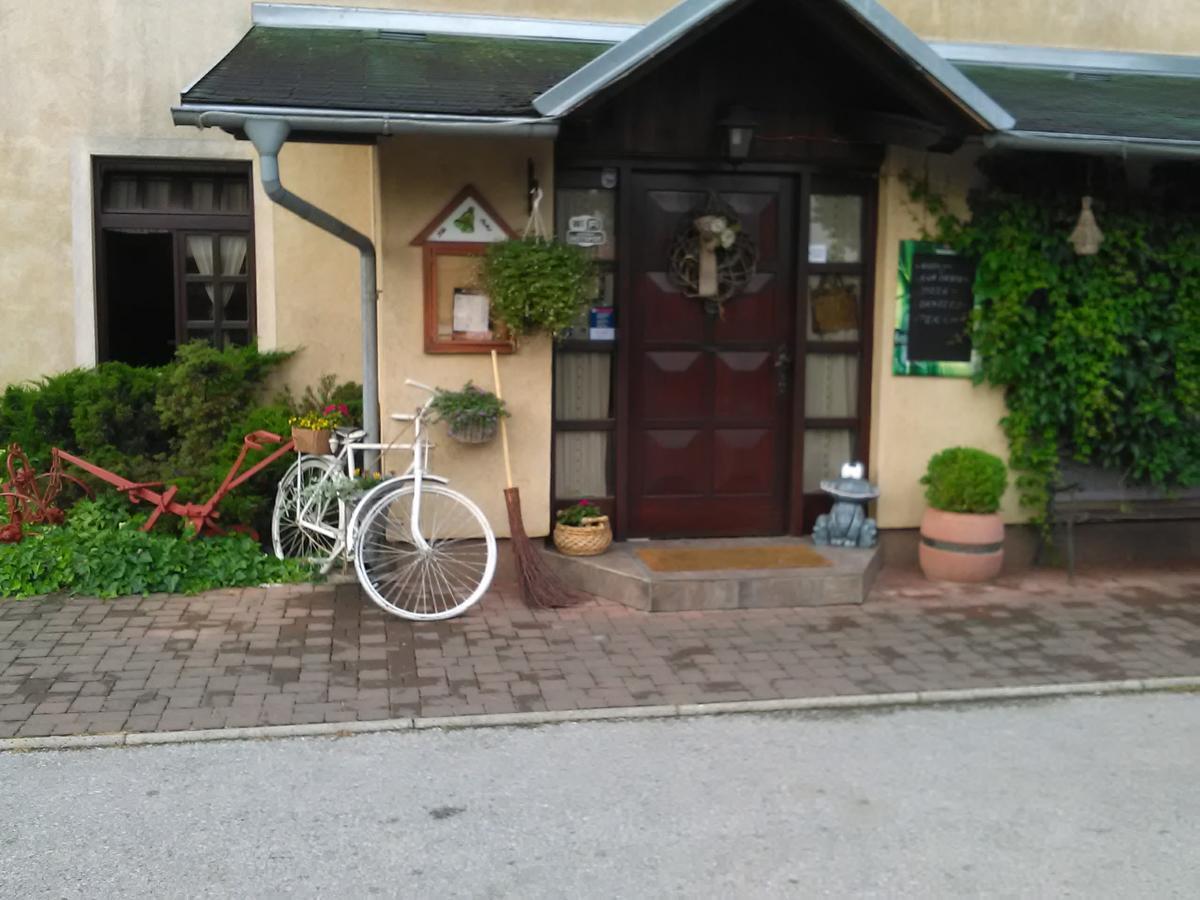 Klet Cinkus Bed & Breakfast Hrvatski Leskovac Екстериор снимка