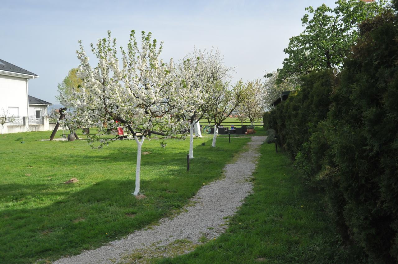 Klet Cinkus Bed & Breakfast Hrvatski Leskovac Екстериор снимка